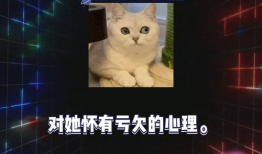 吃瓜娱乐圈综艺,娱乐圈综艺的欢乐盛宴
